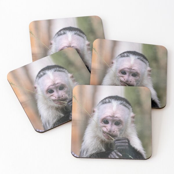 Item preview, White-Throated Capuchin designed and sold by Shot-By-Reedy.