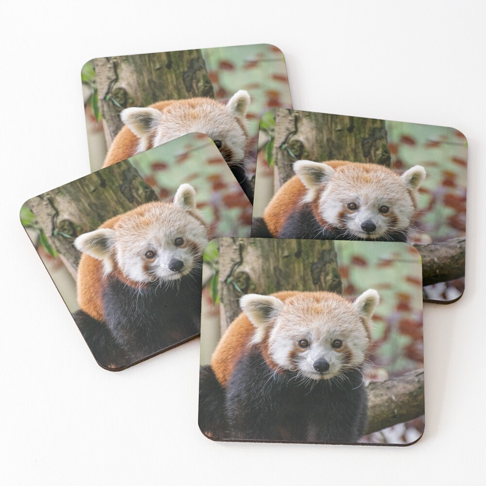Item preview, Coasters (Set of 4) designed and sold by Shot-By-Reedy.