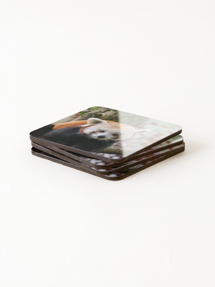 Thumbnail 4 of 5, Coasters (Set of 4), Red Panda designed and sold by Shot-By-Reedy.