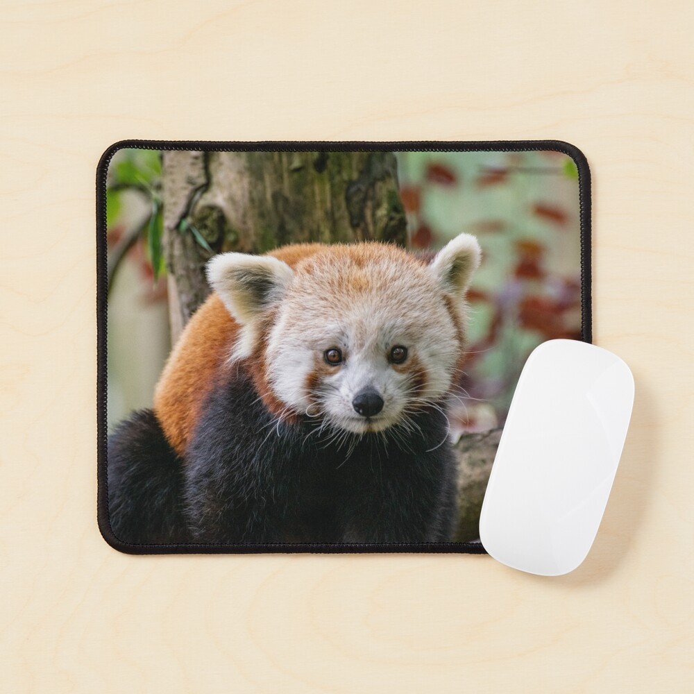 Item preview, Mouse Pad designed and sold by Shot-By-Reedy.