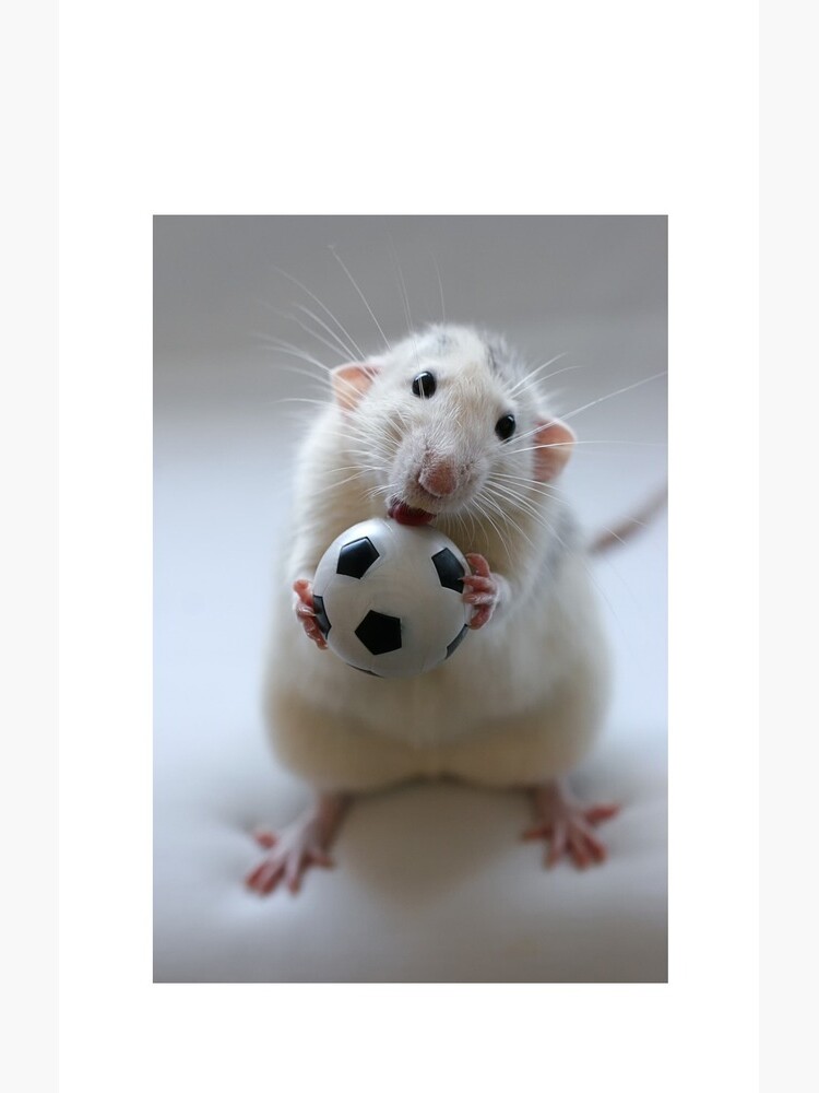 Learning how to play soccer. by Ellen