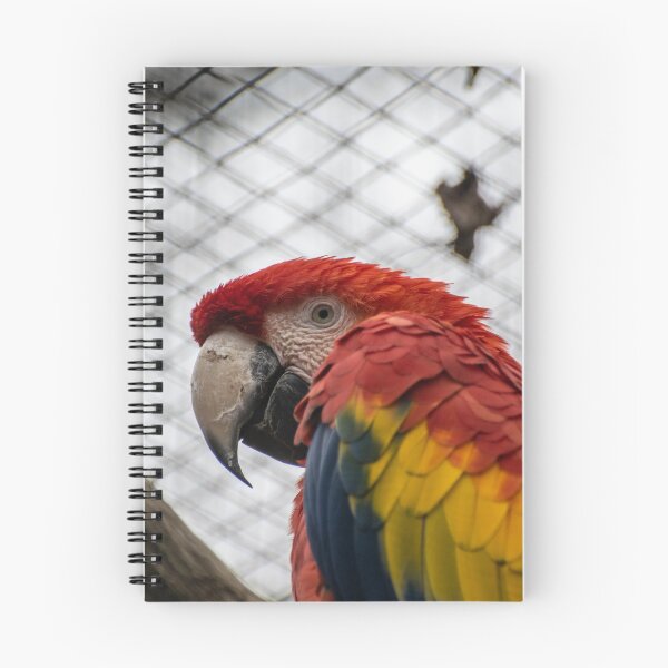 Item preview, Scarlet Macaw designed and sold by Shot-By-Reedy.
