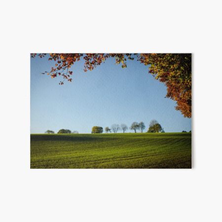 Autumn in the Chilterns Art Board Print