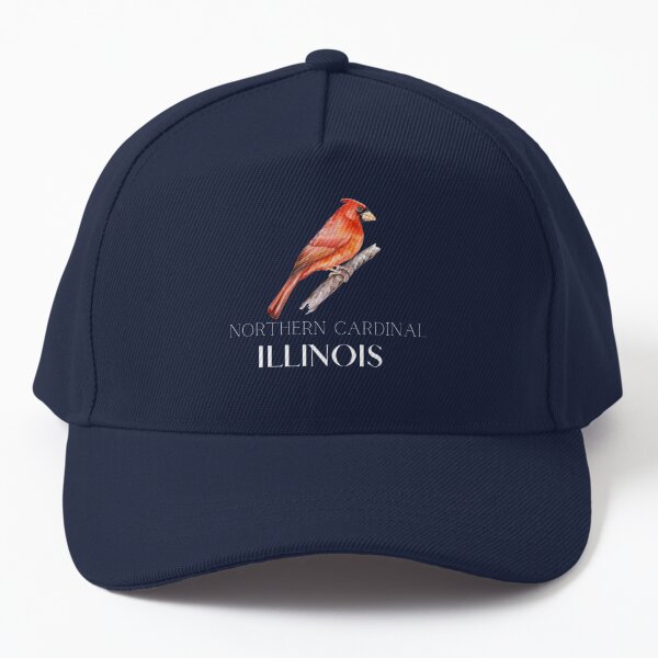 Snapback Hats for Men & Women Animal Bird Wildlife Baltimore