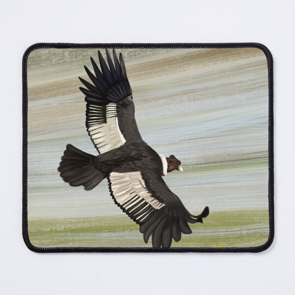 Item preview, Condor, big bird flying designed and sold by ALVALERA.