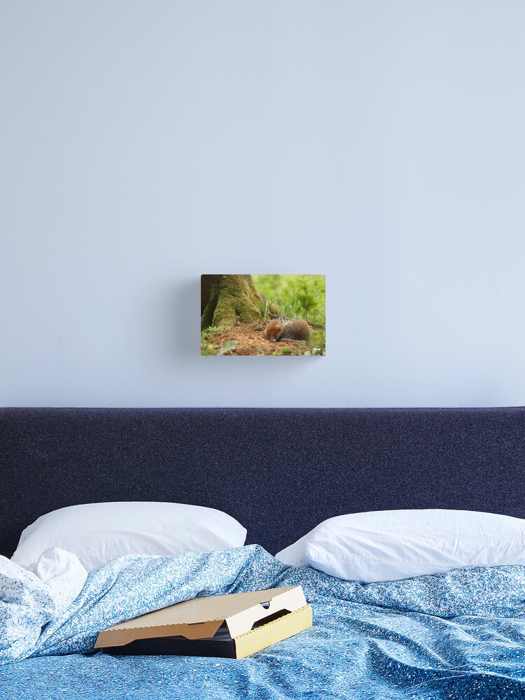 Thumbnail 2 of 3, Canvas Print, Sweet dreams designed and sold by wildphoto.