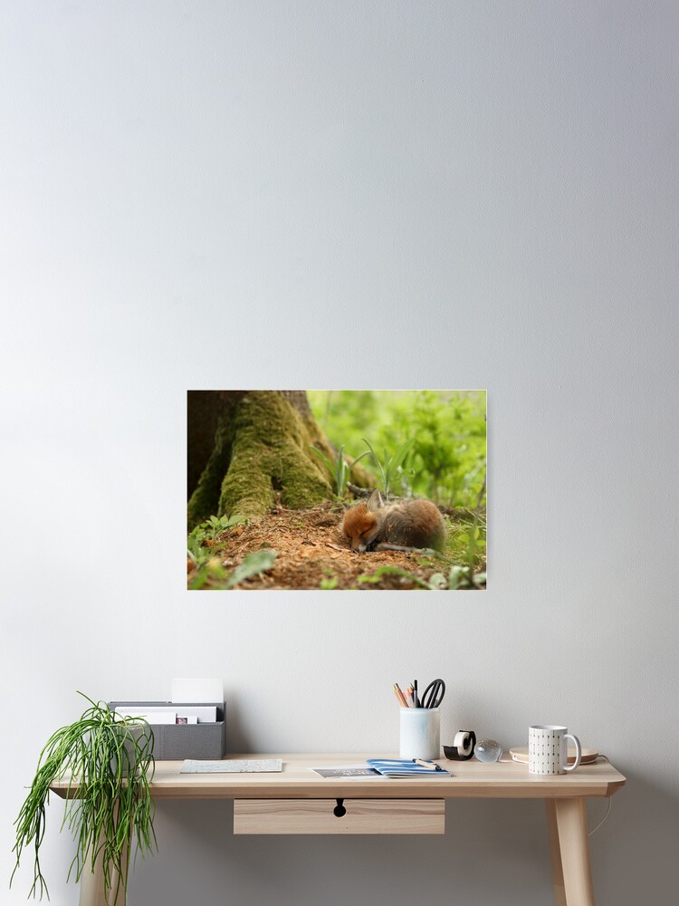 Thumbnail 2 of 3, Poster, Sweet dreams designed and sold by wildphoto.