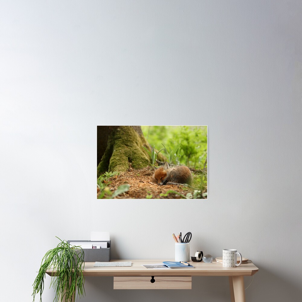 Item preview, Poster designed and sold by wildphoto.