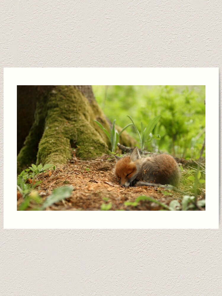 Thumbnail 2 of 3, Art Print, Sweet dreams designed and sold by wildphoto.