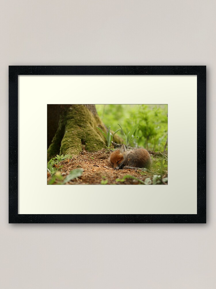 Thumbnail 2 of 7, Framed Art Print, Sweet dreams designed and sold by wildphoto.