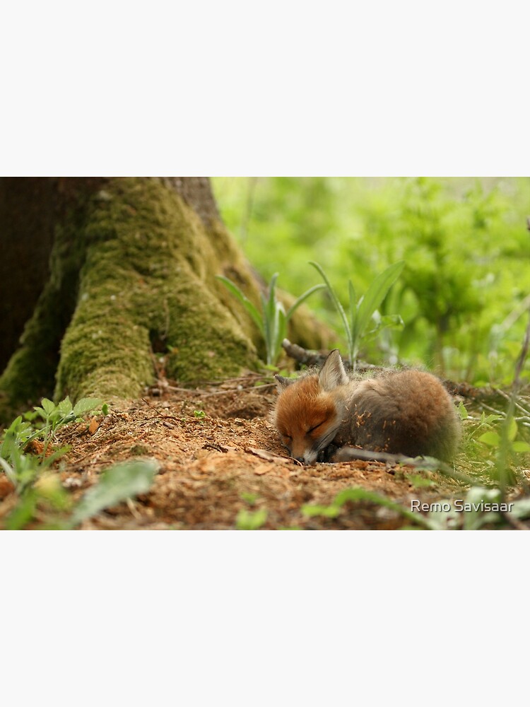 Thumbnail 3 of 3, Art Print, Sweet dreams designed and sold by wildphoto.