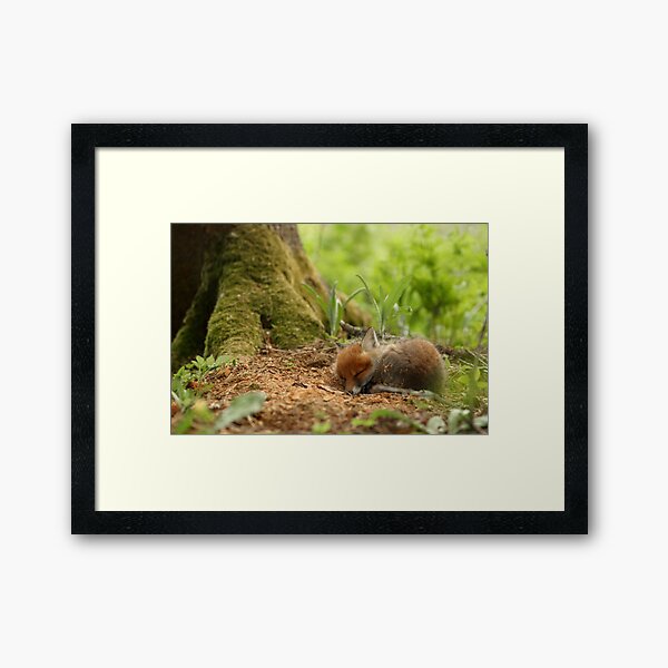 Framed Print