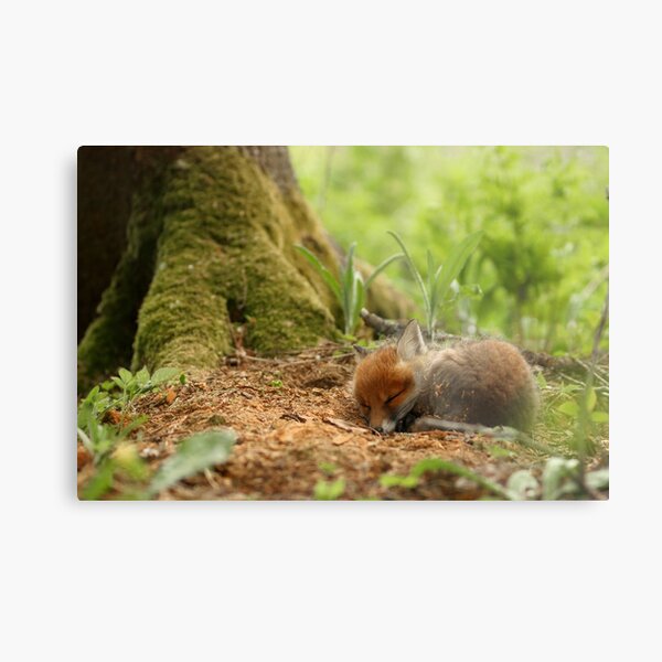 Metal Print