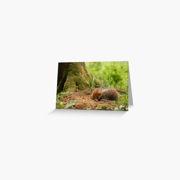Greeting Card