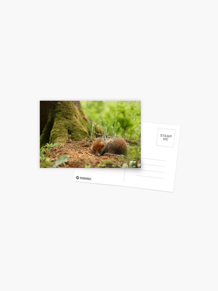 Thumbnail 1 of 2, Postcard, Sweet dreams designed and sold by wildphoto.