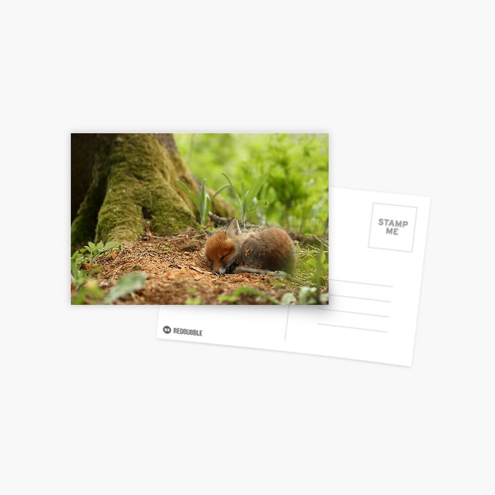 Item preview, Postcard designed and sold by wildphoto.