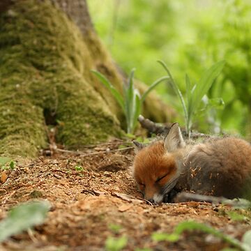 Artwork thumbnail, Sweet dreams by Remo Savisaar