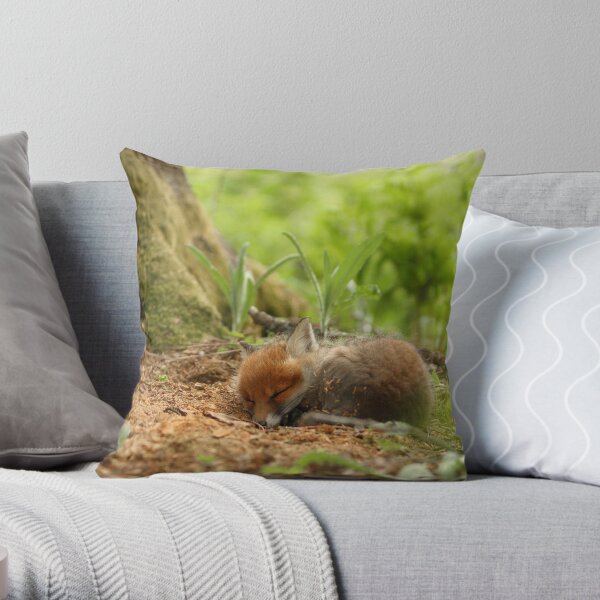 Throw Pillow
