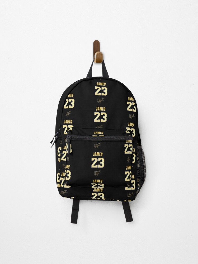 lebron james backpack lakers