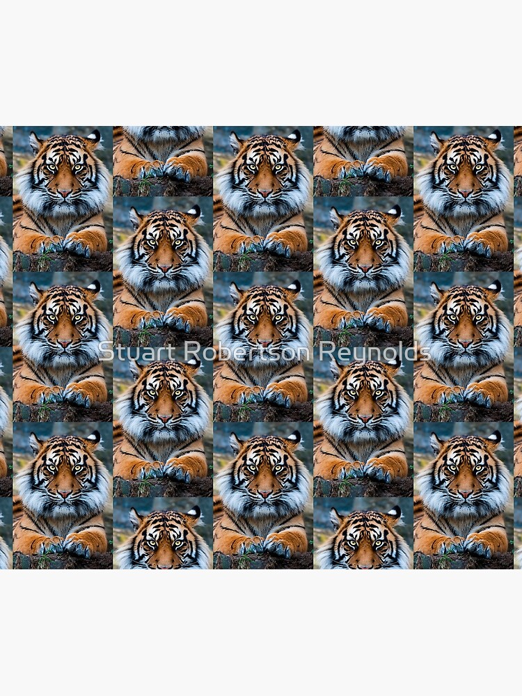 Sumatran Tiger by Sparky2000