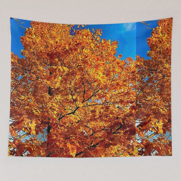 Item preview, Orange tree in autumn designed and sold by HenrikGPhoto.