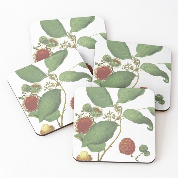 Item preview, Botanical illustration designed and sold by Anacronista.
