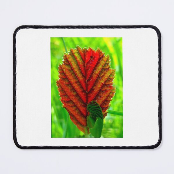 Item preview, Indian Summer Leaf designed and sold by angel1.