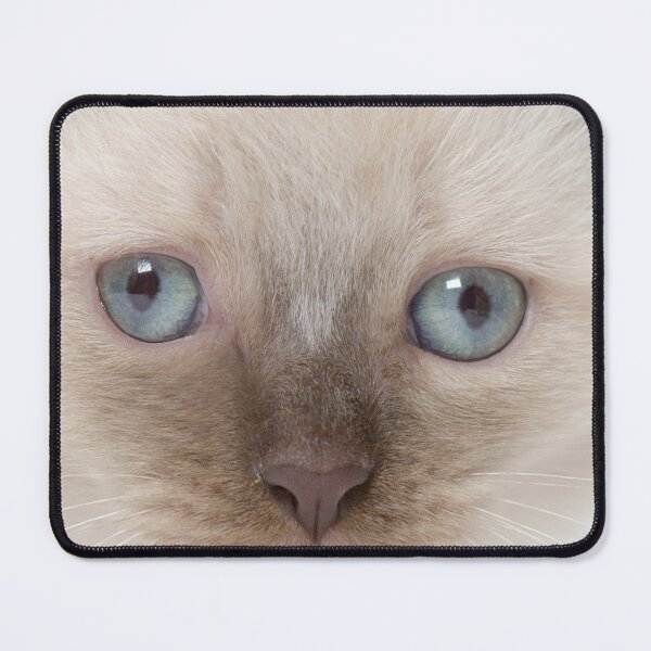 Item preview, Blue-eyed Kitten designed and sold by 3TFashion.