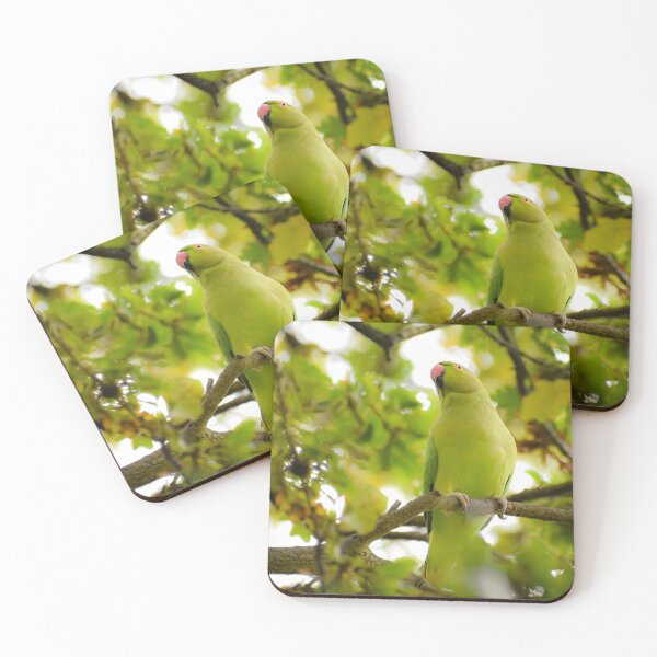 Item preview, Parakeet designed and sold by noahjpphotos.
