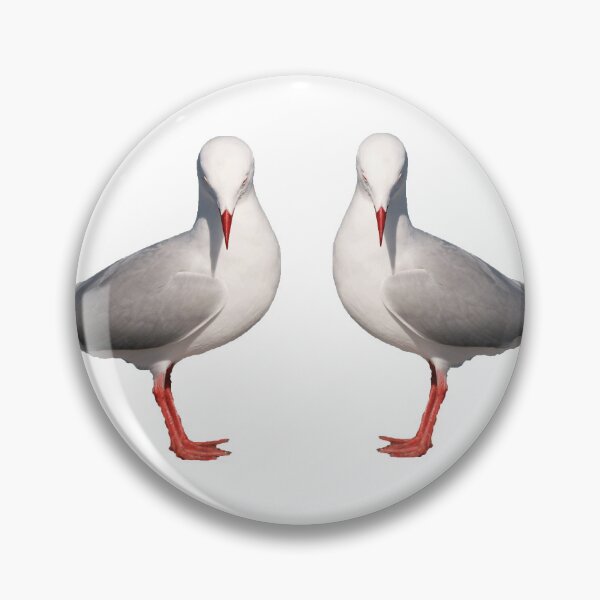 Item preview, Beautiful Silver Gull, transparent background image,wall art mugs cups and clothes designed and sold by sunnypicsoz.