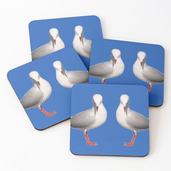 Item preview, Beautiful Silver Gull, transparent background image,wall art mugs cups and clothes designed and sold by sunnypicsoz.