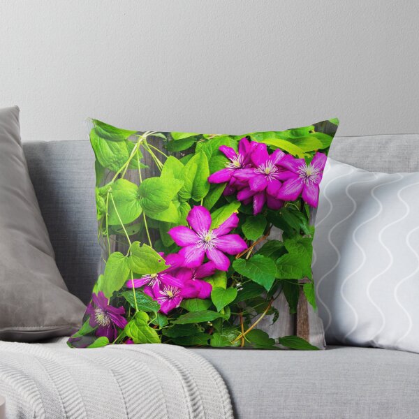Item preview, Pink clematis flowers climbing on a fence designed and sold by Karen Hogan.