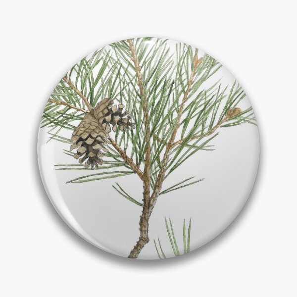Item preview, Pinus nigra designed and sold by Cladonia.