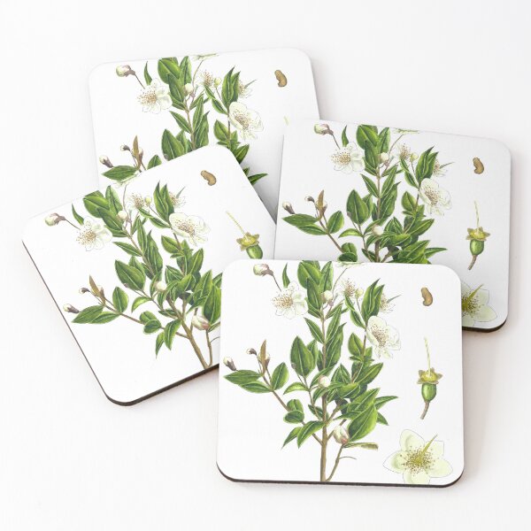 Item preview, Myrtus communis designed and sold by Cladonia.