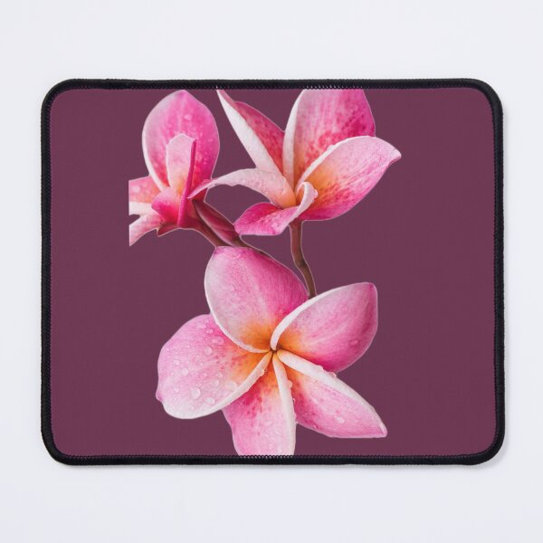 Item preview, Pink colorful Lily designed and sold by atroffire.