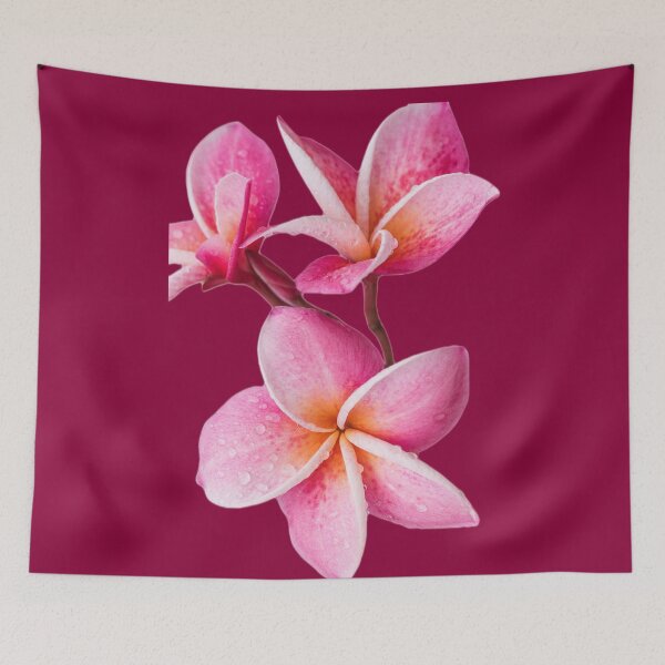 Item preview, Pink colorful Lily designed and sold by atroffire.