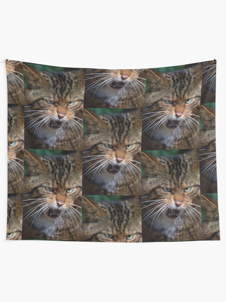 Alternate view of Scottish Wildcat, less than 400 remain... Tapestry