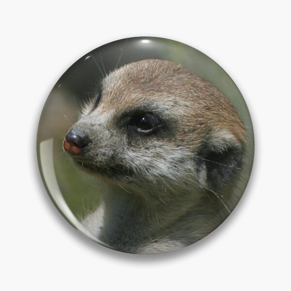 Item preview, Meerkat 043 designed and sold by JAMFoto.