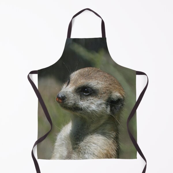 Item preview, Meerkat 043 designed and sold by JAMFoto.