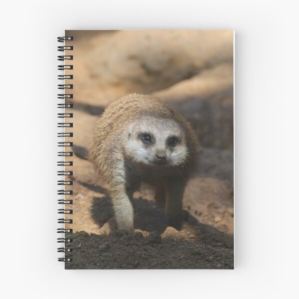 Item preview, Meerkat 078 designed and sold by JAMFoto.
