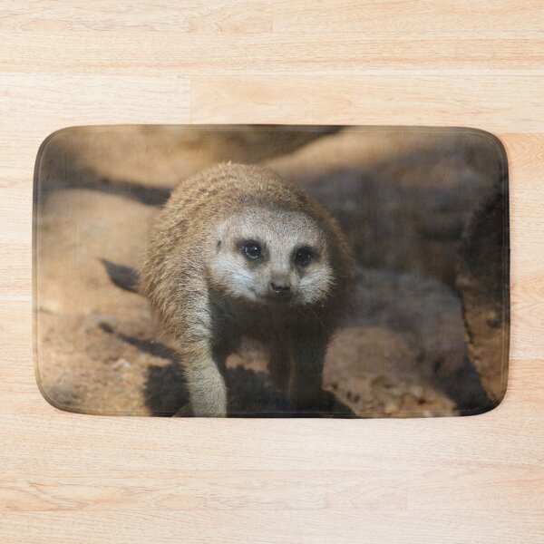 Item preview, Meerkat 078 designed and sold by JAMFoto.