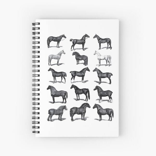 Aperçu de l'œuvre Tableau des races de chevaux vintage noir et blanc créée et vendue par HorseGirlRescue.