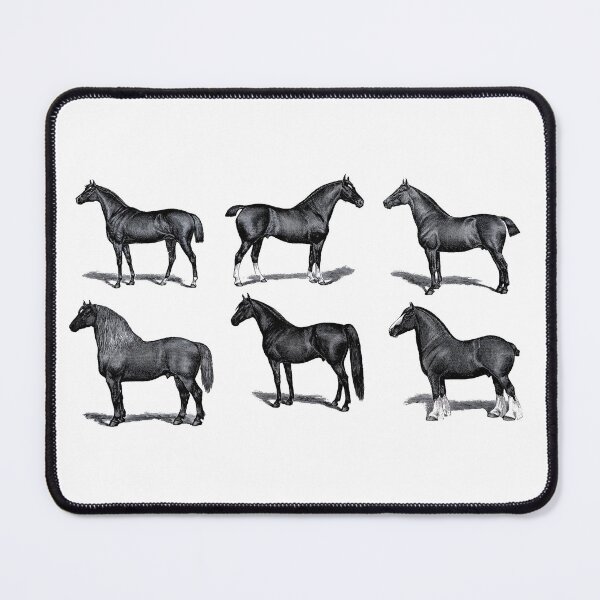 Aperçu de l'œuvre Tableau des races de chevaux vintage noir et blanc créée et vendue par HorseGirlRescue.