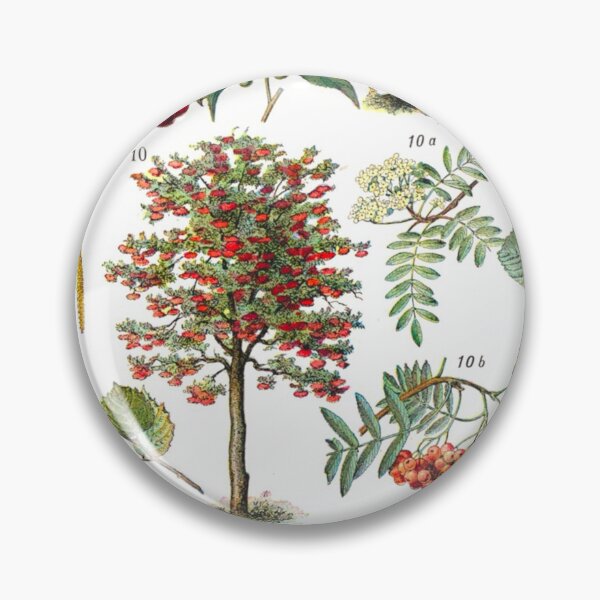 Item preview, Vintage Botanical Trees Illustration V.3 designed and sold by TheLykosApparel.