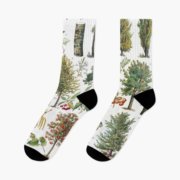 Item preview, Vintage Botanical Trees Illustration V.3 designed and sold by TheLykosApparel.
