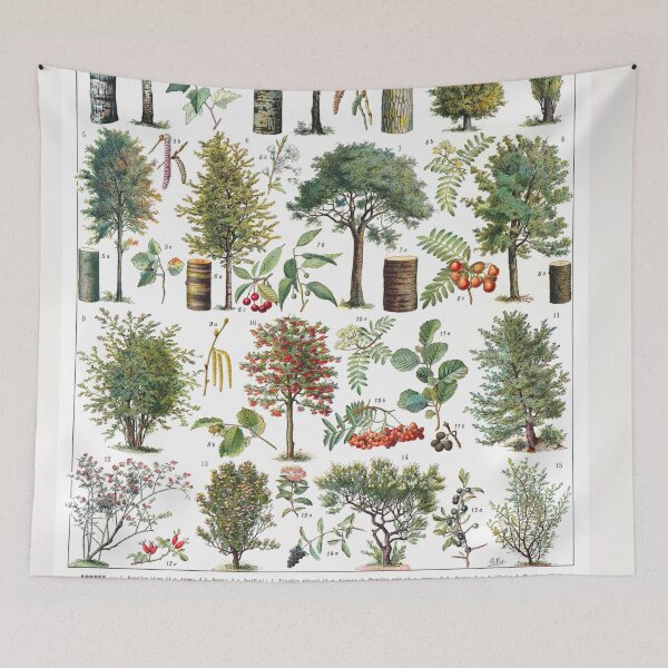 Item preview, Vintage Botanical Trees Illustration V.3 designed and sold by TheLykosApparel.