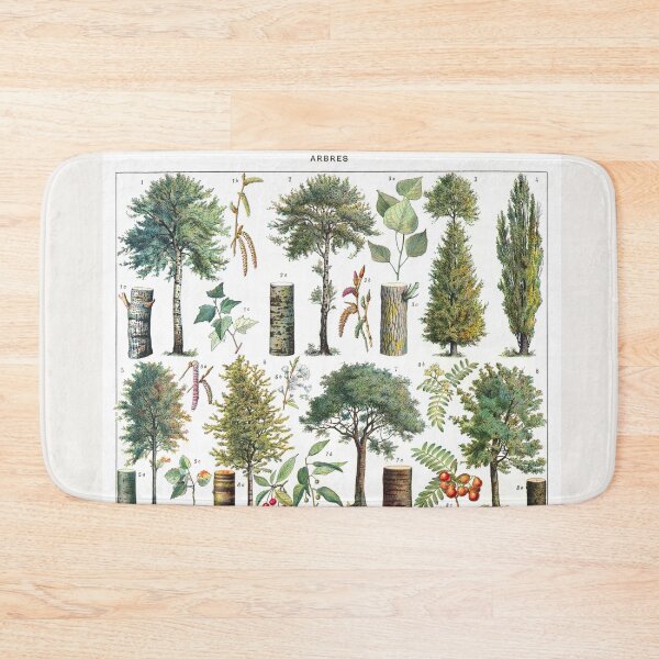 Item preview, Vintage Botanical Trees Illustration V.3 designed and sold by TheLykosApparel.