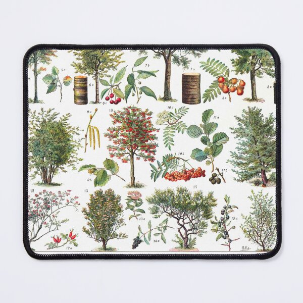 Item preview, Vintage Botanical Trees Illustration V.3 designed and sold by TheLykosApparel.