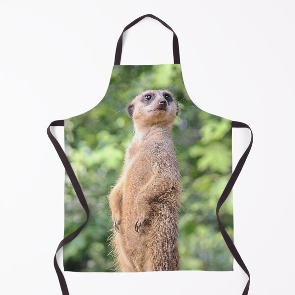 Item preview, Meerkat 079 designed and sold by JAMFoto.