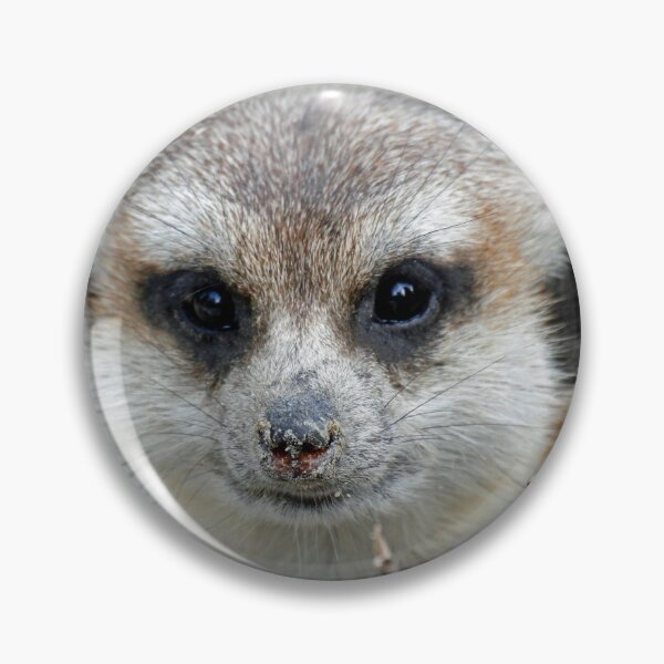 Item preview, Meerkat 070 designed and sold by JAMFoto.
